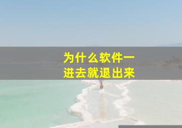 为什么软件一进去就退出来