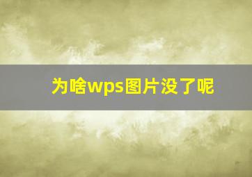 为啥wps图片没了呢