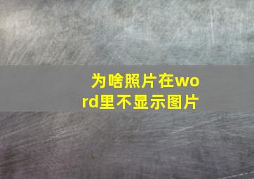 为啥照片在word里不显示图片