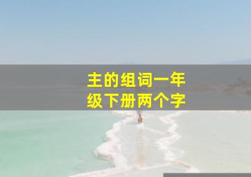 主的组词一年级下册两个字