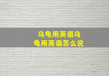 乌龟用英语乌龟用英语怎么说