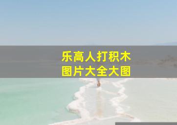 乐高人打积木图片大全大图