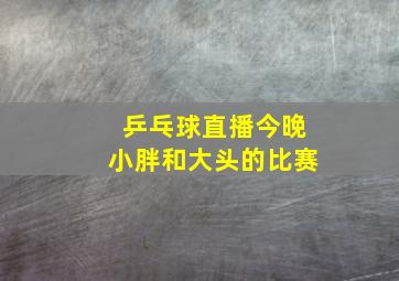 乒乓球直播今晚小胖和大头的比赛