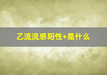 乙流流感阳性+是什么