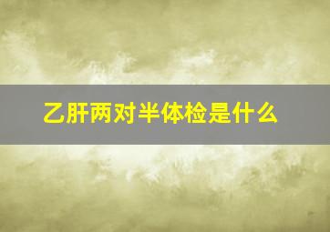 乙肝两对半体检是什么