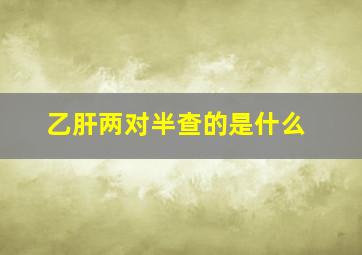 乙肝两对半查的是什么