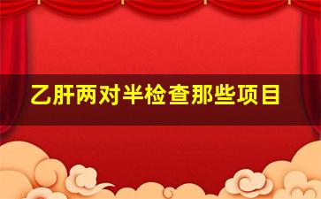 乙肝两对半检查那些项目