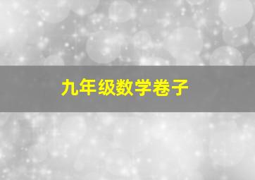 九年级数学卷子