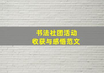 书法社团活动收获与感悟范文