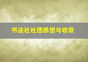 书法社社团感想与收获