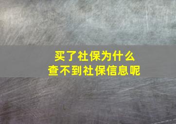 买了社保为什么查不到社保信息呢