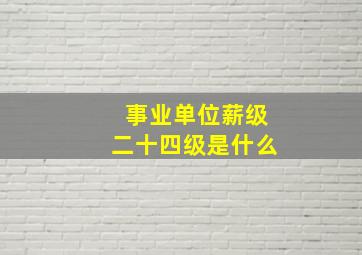 事业单位薪级二十四级是什么