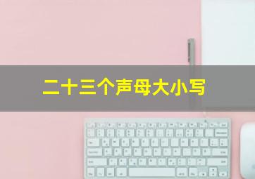 二十三个声母大小写