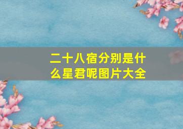 二十八宿分别是什么星君呢图片大全