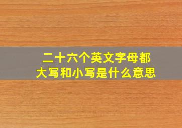 二十六个英文字母都大写和小写是什么意思