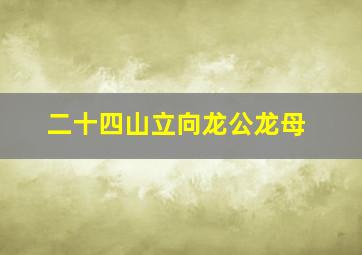 二十四山立向龙公龙母