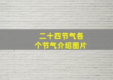 二十四节气各个节气介绍图片