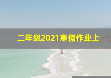 二年级2021寒假作业上