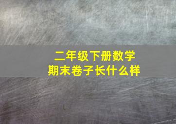 二年级下册数学期末卷子长什么样