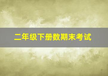 二年级下册数期末考试