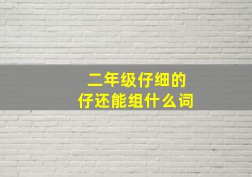 二年级仔细的仔还能组什么词