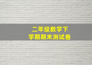 二年级数学下学期期末测试卷