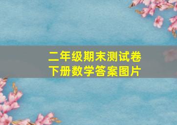 二年级期末测试卷下册数学答案图片