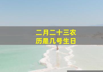 二月二十三农历是几号生日