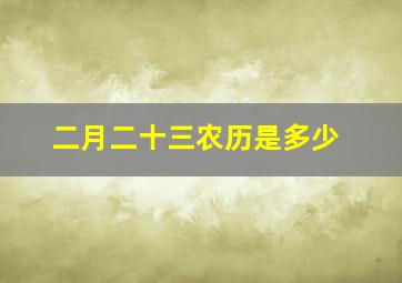 二月二十三农历是多少