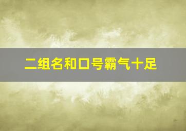 二组名和口号霸气十足