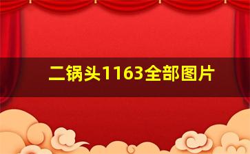 二锅头1163全部图片