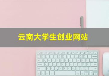 云南大学生创业网站