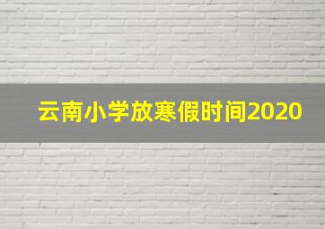 云南小学放寒假时间2020