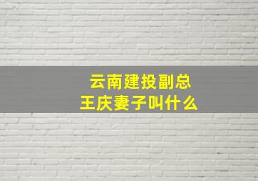 云南建投副总王庆妻子叫什么