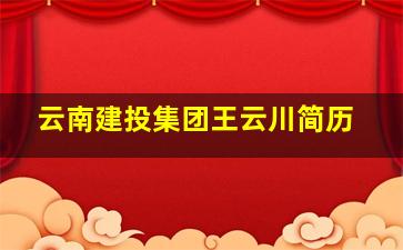 云南建投集团王云川简历