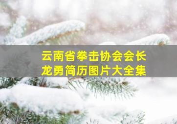 云南省拳击协会会长龙勇简历图片大全集