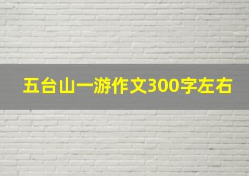 五台山一游作文300字左右