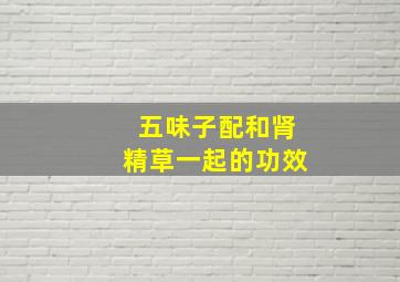 五味子配和肾精草一起的功效