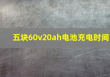 五块60v20ah电池充电时间