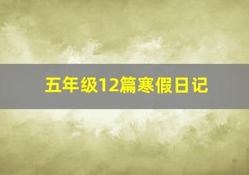 五年级12篇寒假日记