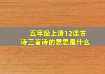 五年级上册12课古诗三首诗的意思是什么