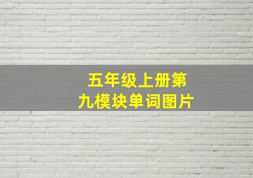 五年级上册第九模块单词图片