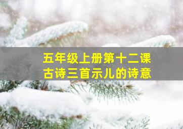 五年级上册第十二课古诗三首示儿的诗意