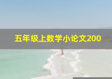 五年级上数学小论文200