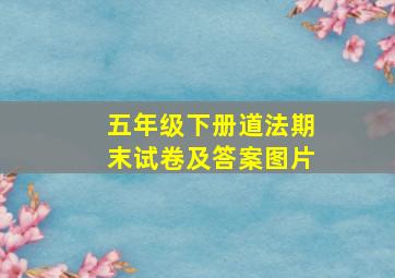 五年级下册道法期末试卷及答案图片