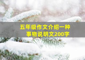 五年级作文介绍一种事物说明文200字