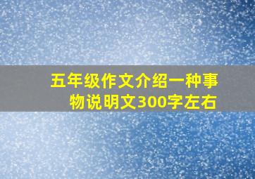 五年级作文介绍一种事物说明文300字左右