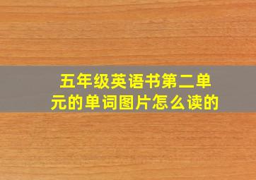 五年级英语书第二单元的单词图片怎么读的