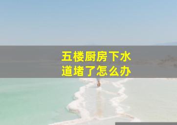 五楼厨房下水道堵了怎么办