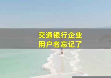 交通银行企业用户名忘记了